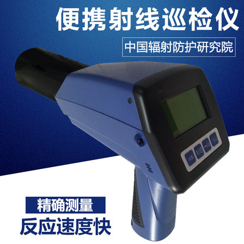 FJ1200环境级x 辐射测量仪 环境级射线辐射巡检仪 环保许可认证