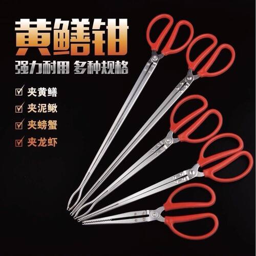 不锈钢黄鳝夹子鳝鱼泥鳅螃蟹钳子防滑脱控鱼器多功能专用赶海神器