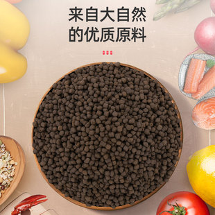 蝴蝶鲤专用饲料增白蝴蝶鲤鱼食下沉型鱼粮不浑水高蛋白鱼食小颗粒
