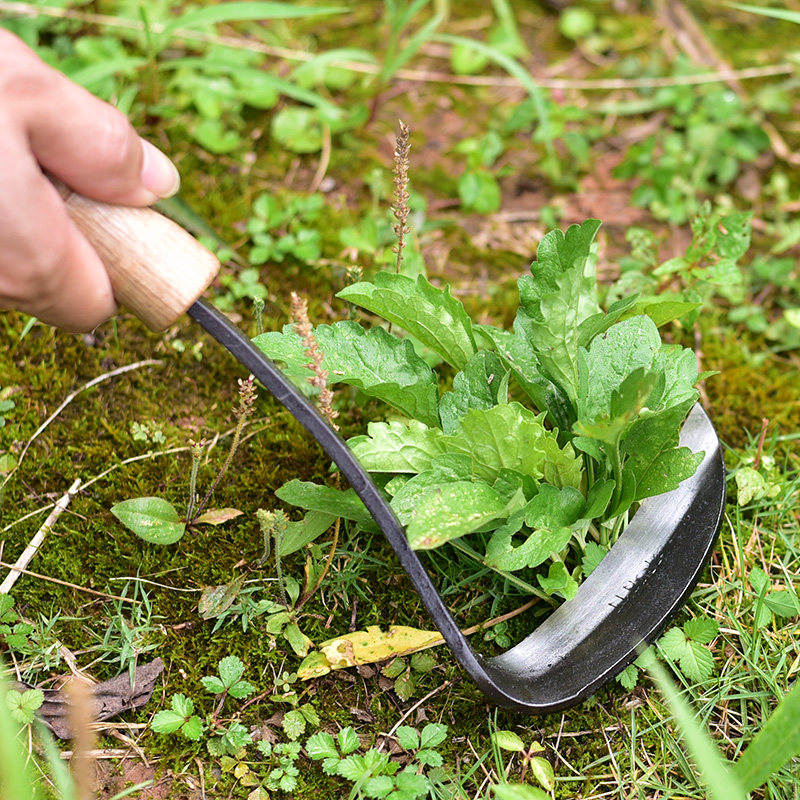 立锦复合钢蛇颈镰锄草除草镰刀割草刀园艺工具菜园花园农具农用刀图片