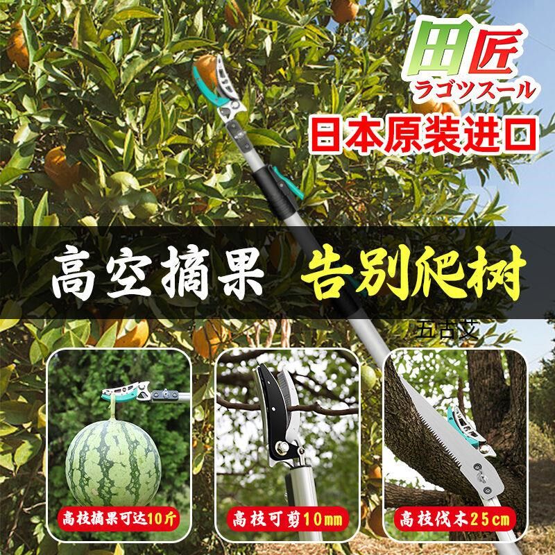 摘水果荔枝龙眼樱桃高枝剪伸缩高空剪采摘果子水果剪加长果树剪刀