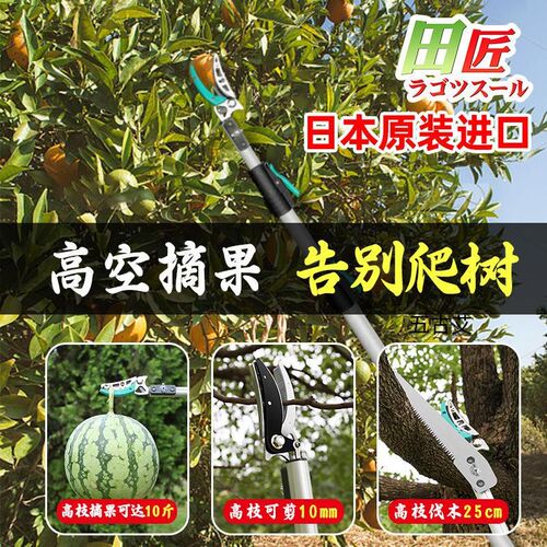摘水果荔枝龙眼樱桃高枝剪伸缩高空剪采摘果子水果剪加长果树剪刀