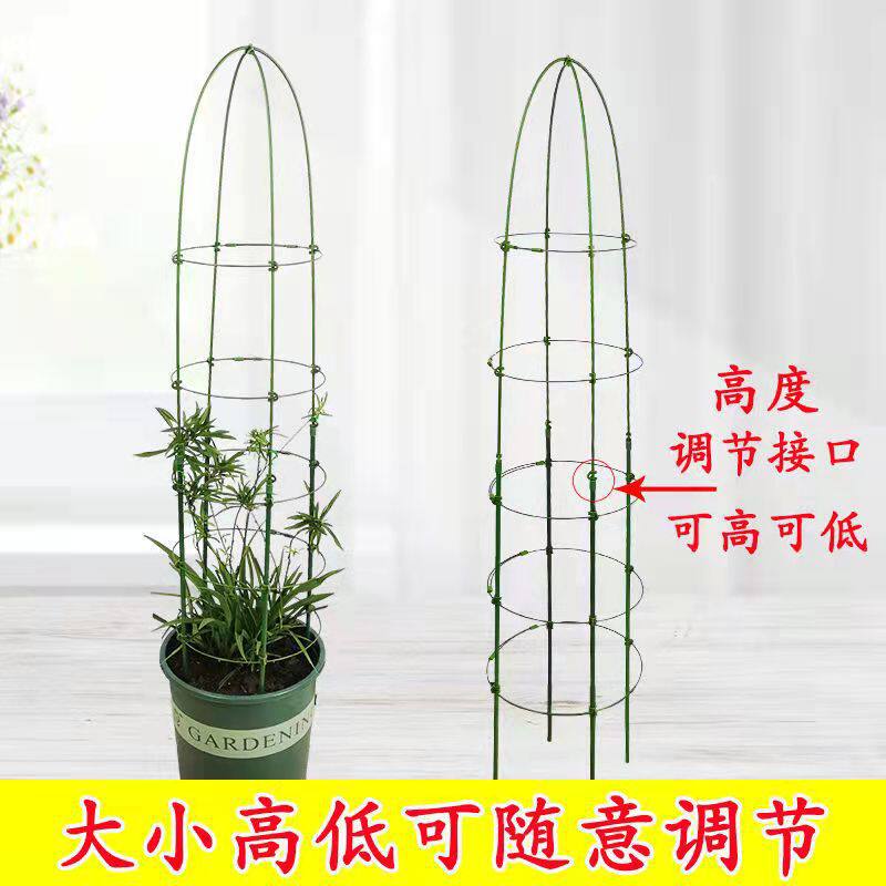 爬藤花架园艺支柱架阳台绿萝月季铁线莲藤本花卉植物攀爬花支架