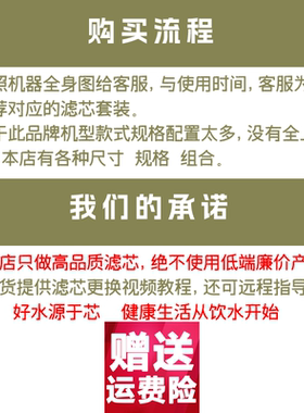 王牌智慧星净水器滤芯WP-RO-600/100/400/A6加热一体机10寸PP五级