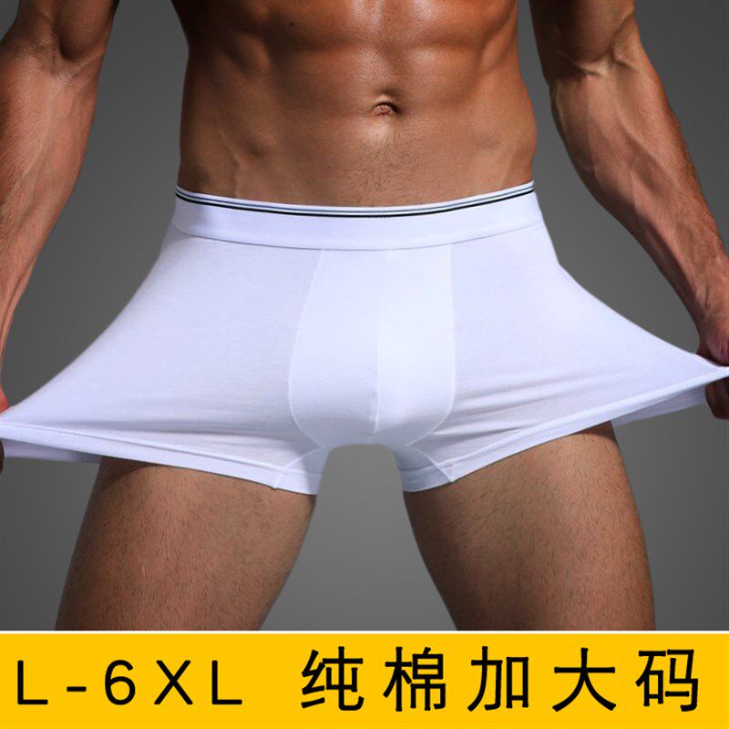 胖男士内裤男平角裤加肥加大纯棉大码200斤特大号胖子青年潮白色