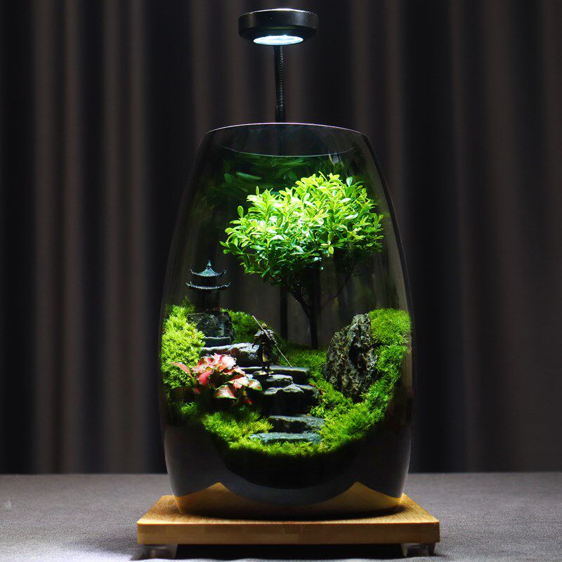 【成功之路】原创桌面苔藓微景观成品办公室生态瓶盆景生态缸摆件