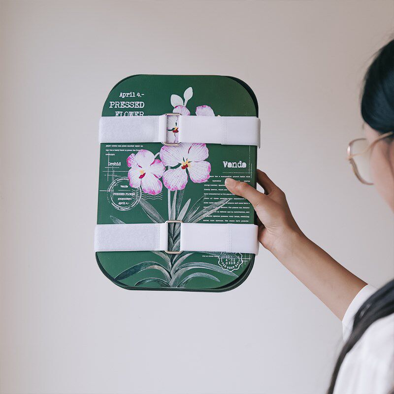 压花器材料包幼儿园亲子diy手工树叶水果片干花制作押花器压花板