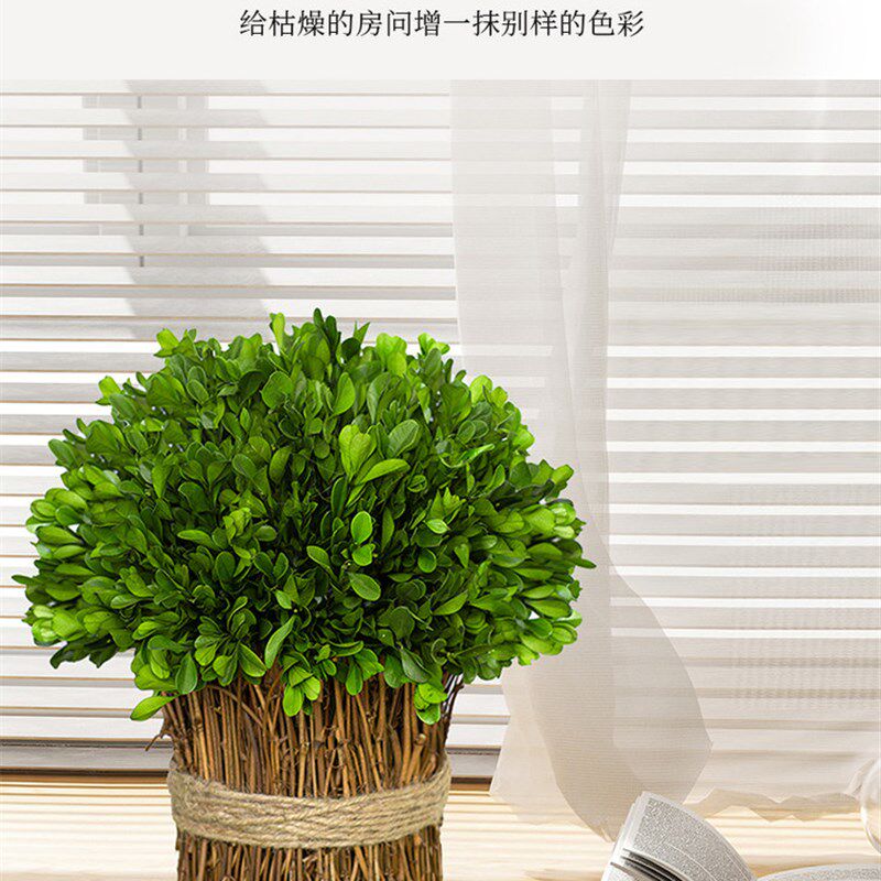 黄杨藤条永生花干花花束客厅玄关彷真花桌面永生绿植装饰小摆件