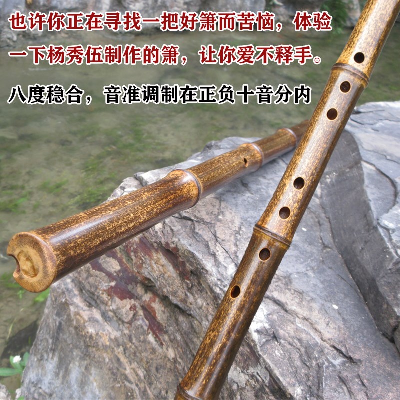 精制紫竹箫带根大头紫竹洞箫萧乐器EFG调六八孔大共鸣素箫专业级