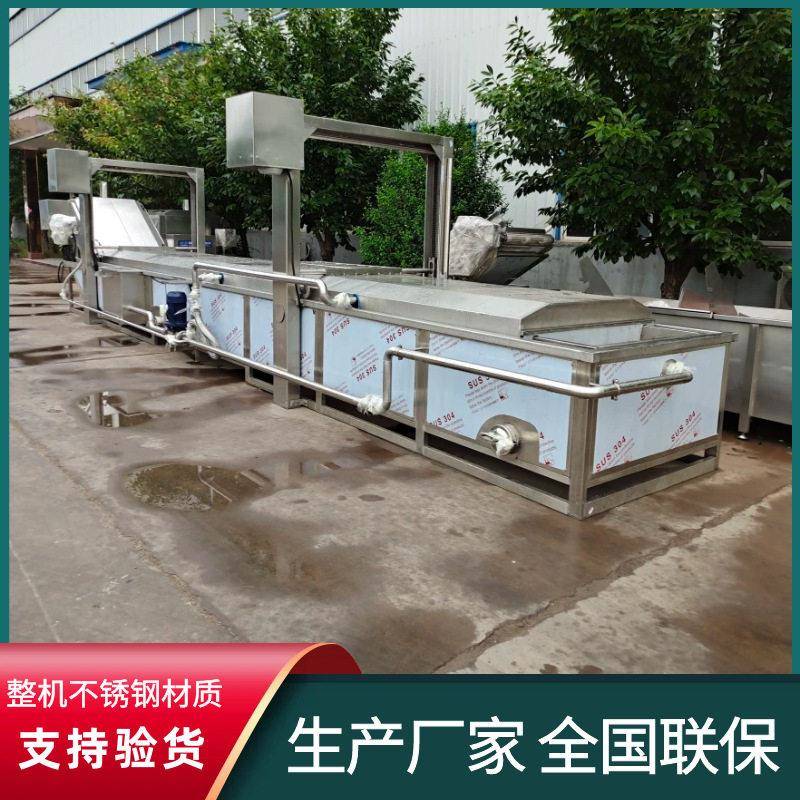 杏鲍菇加工焯水漂烫机全自动海鲜鲍鱼预煮机网带出料鱿鱼仔蒸煮