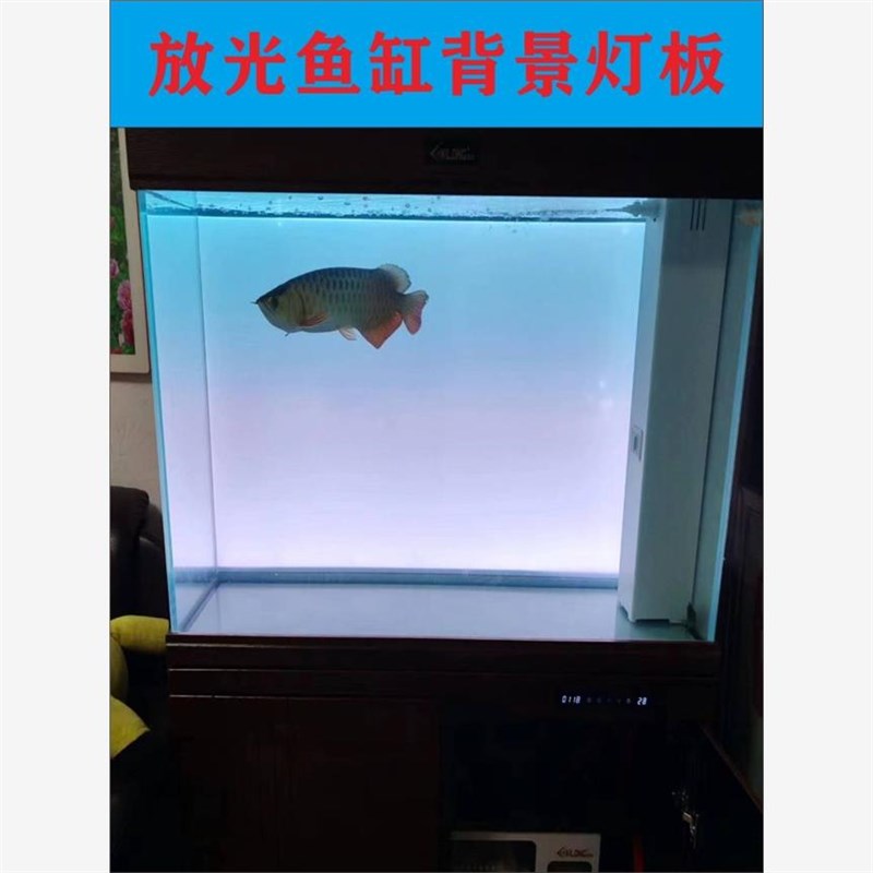 。鱼缸背景板新款灯板RGB七彩渐变炫彩led高亮发光板防水南美缸造