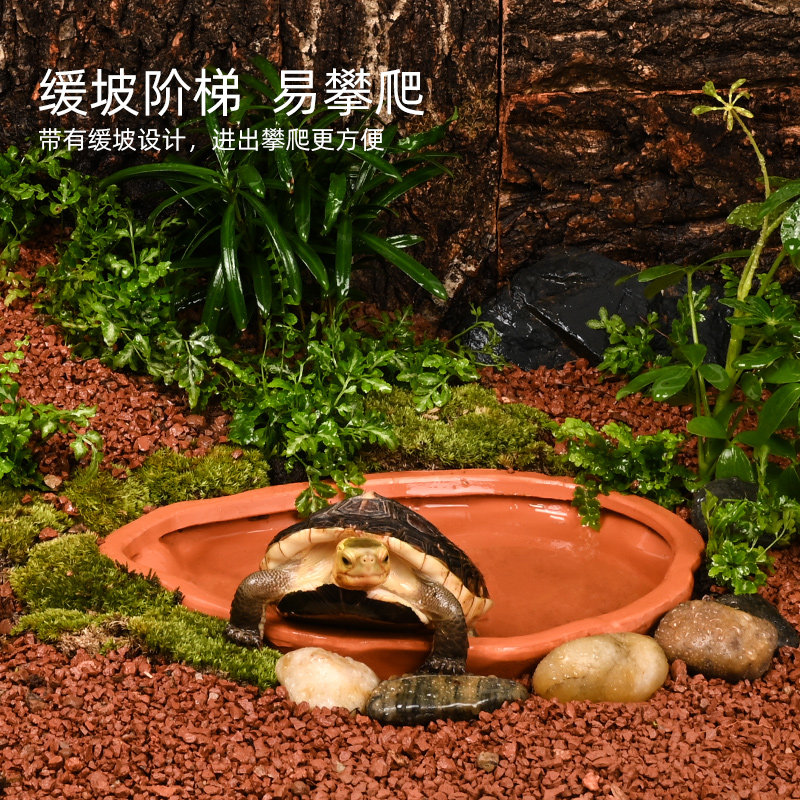 黄缘龟泡澡盆陶瓷水盆安缘半水龟专用喝水盘乌龟缸造景饲养箱用品
