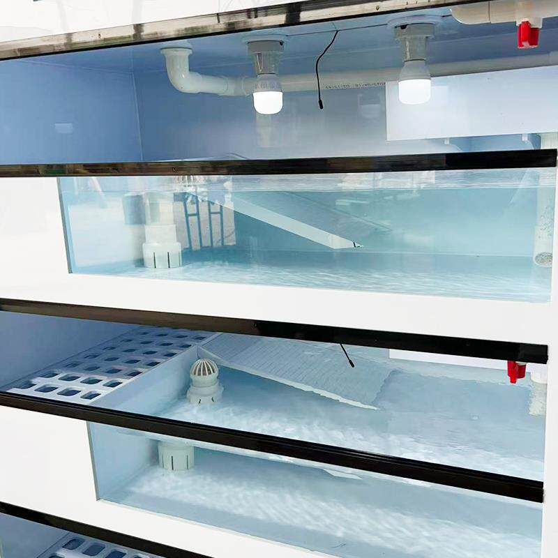 独立温控PP轻体龟箱大型塑料轻体深水鱼缸乌龟养殖箱带过滤槽产蛋