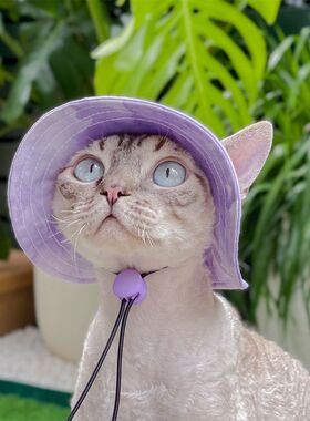 宠物猫咪帽子网红装饰夏天可爱布偶银渐层外出遮阳用夏季狗狗柯基