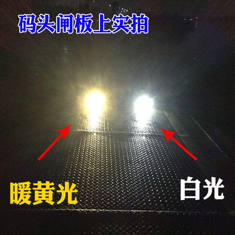 正福凯12V下水灯水陆两用LED防水12V水下强光灯水下灯诱鱼潜水灯