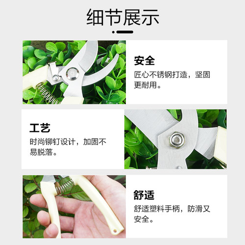 上水银花 园林剪果枝剪花枝剪子修枝剪园林剪刀家用剪子果树剪