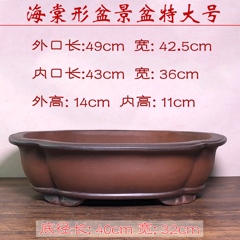 紫砂花盆特大盆景花盆粗陶榕树老桩盆海棠形椭圆花盆陶瓷大号