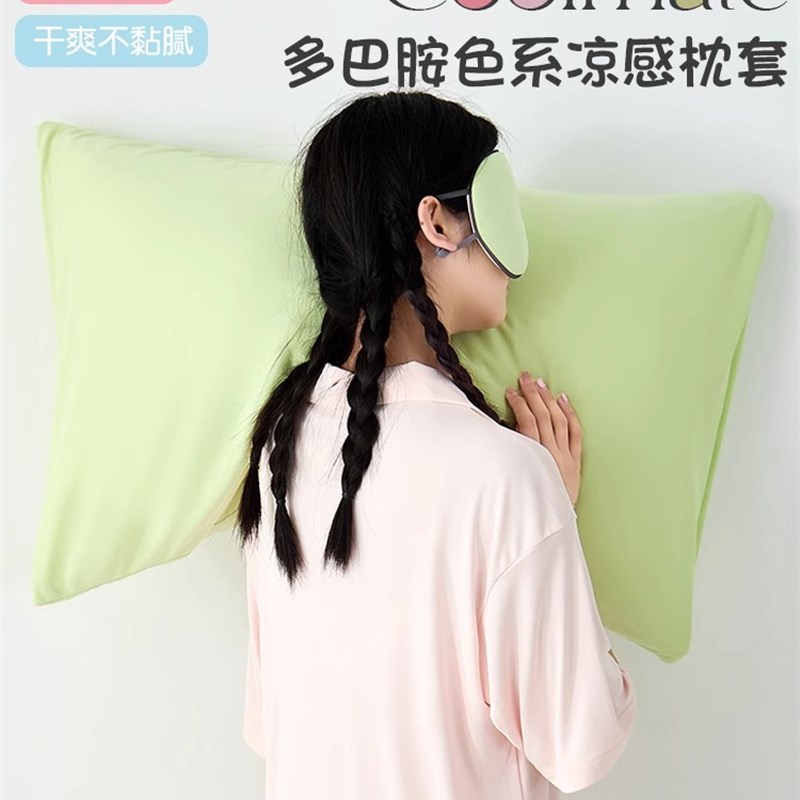 夏凉感冰丝枕头套一对装家用真丝天丝枕套48x74cm单个轻奢高级感2