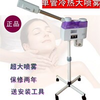 正品泰东蒸脸器美容仪补水纳米双喷冷热喷雾机家用冷喷机热喷雾器