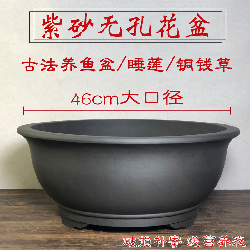 水养植物无孔紫砂盆铜钱草碗莲盆青鳉鱼盆假山盆菖蒲盆古法养鱼盆