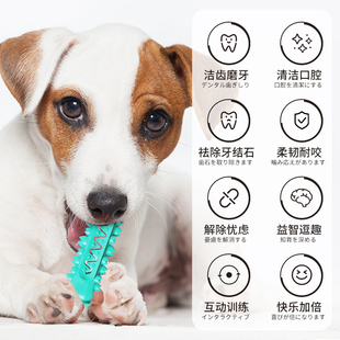 狗狗磨牙玩具耐咬逗狗自嗨解闷撕咬中边牧拉布拉多大型犬洁齿益智