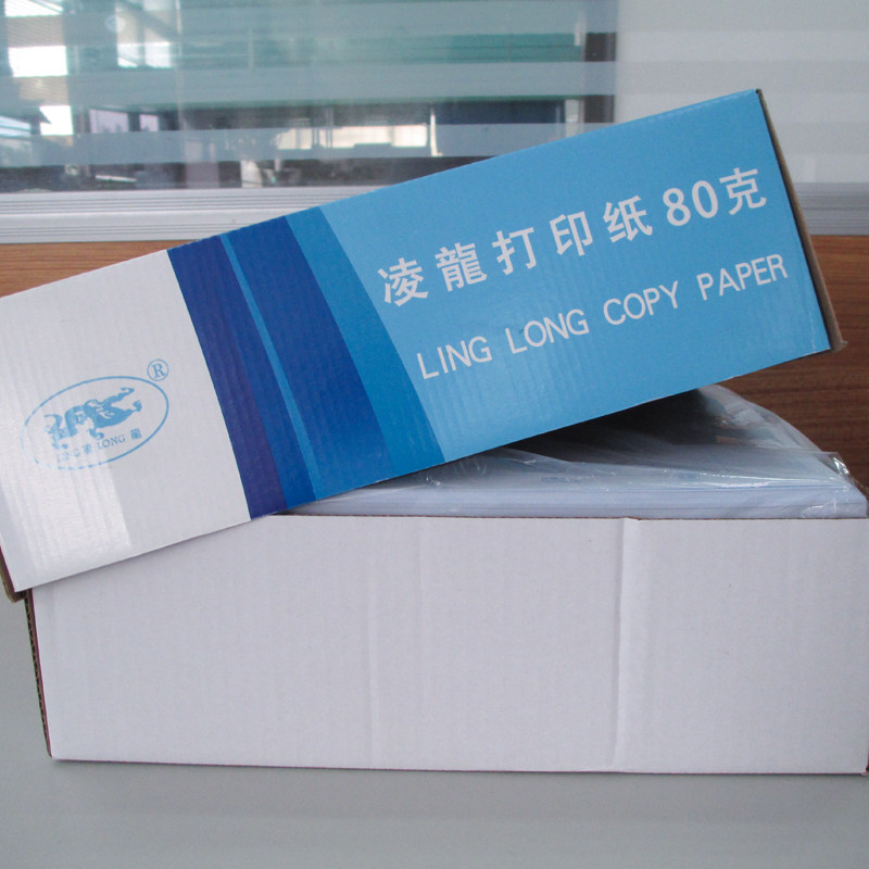 凌龙A4平行记账凭证打印纸 新会计制度2019 政务与行政事业公司单