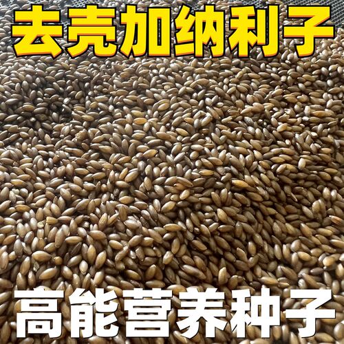 脱壳无壳粮加纳利子白尖鸟粮鸟食玄风牡丹虎皮鹦鹉文鸟玉鸟芙蓉