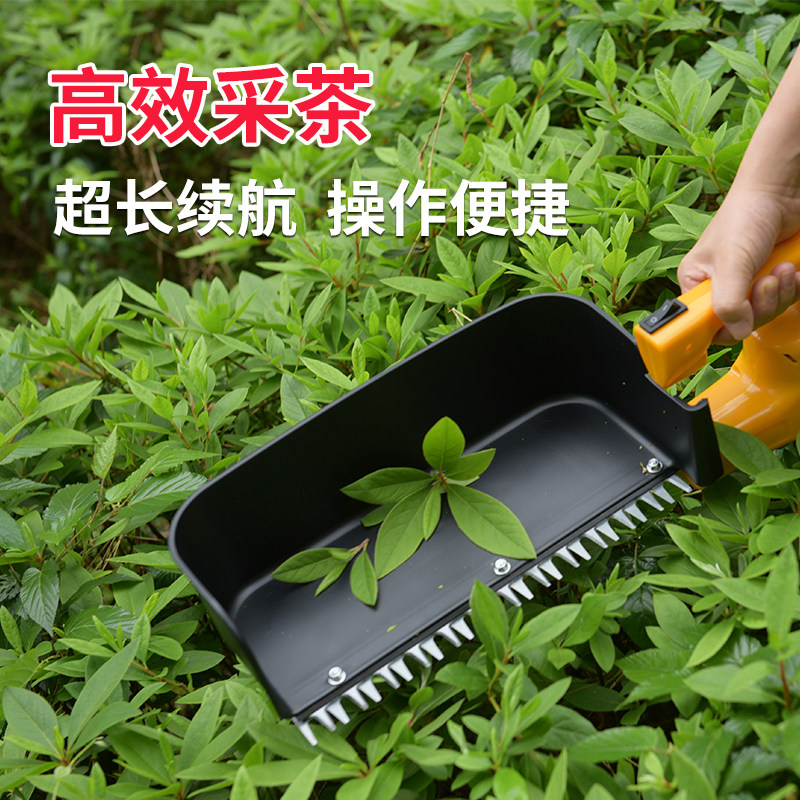 24V充电式电动采茶机单刃可携式茶叶采摘机多功能草莓自动修剪机