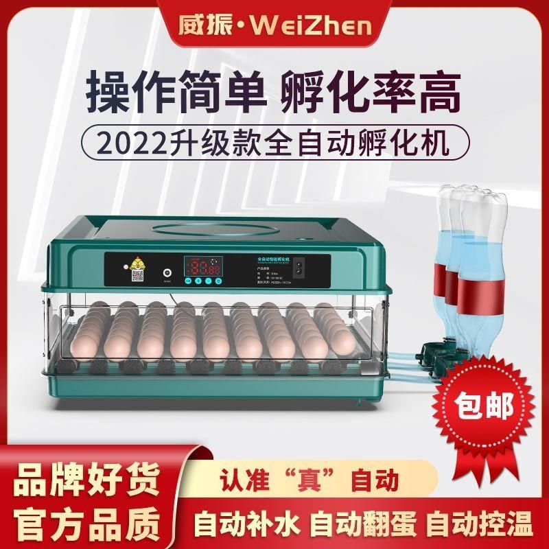 小型家用全自动水床孵化器迷你孵化机小鸡孵化箱