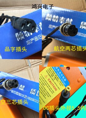 12.6V6A 12.6V10A锂电池充电器 12V50A40A60A80A100A锂电池充电器