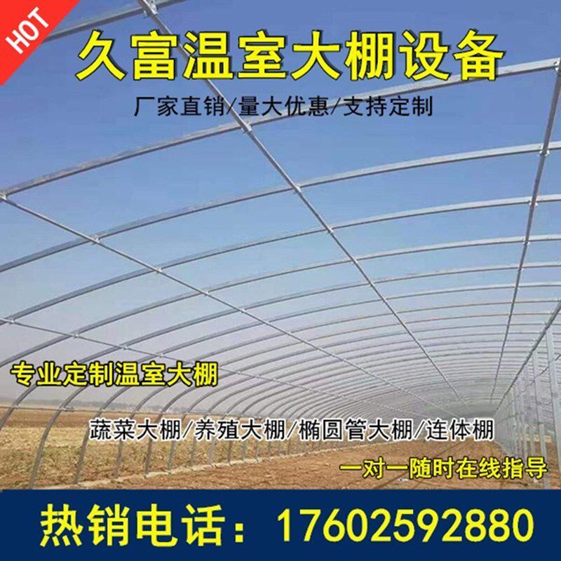 种植大棚热镀锌钢管骨架椭圆西瓜草莓猪牛羊鸡鸭鹅棚定制温室连体