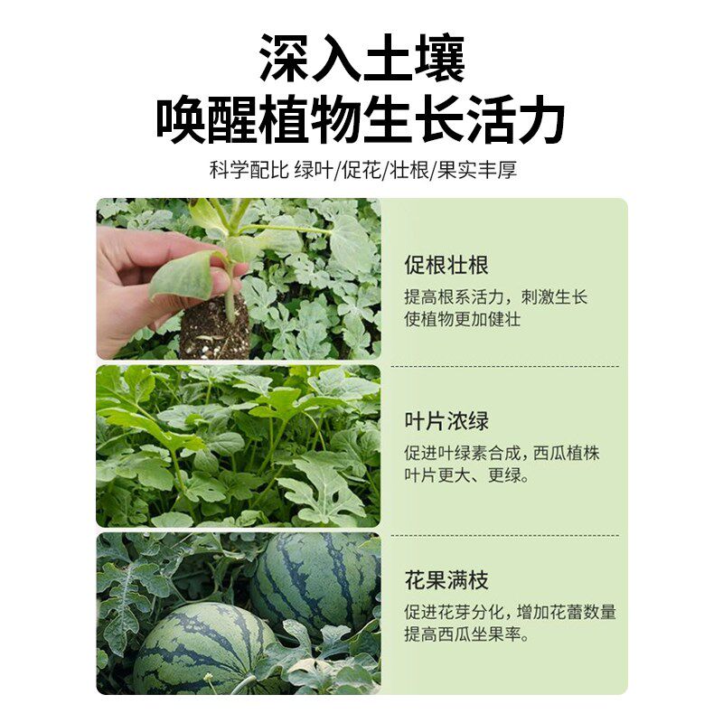西瓜专用水溶肥料增甜增产膨大防裂生根壮苗桶装甜瓜冲施肥滴灌肥