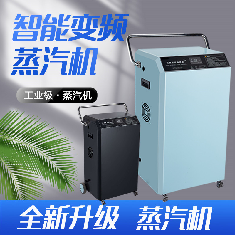 商用大功率蒸汽清洁机高温高压工业设备油污餐厅清洗蒸气洗车内饰