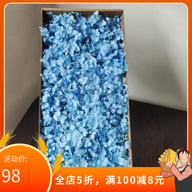 永生花花瓣绣球花安娜小叶干花真花圣诞树团扇手工diy材料包花卉