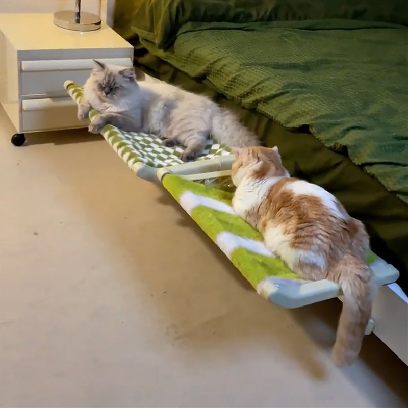 【陪睡搭子】悬挂猫窝四季通用床边猫床多巴胺猫吊床大尺寸宠物窝