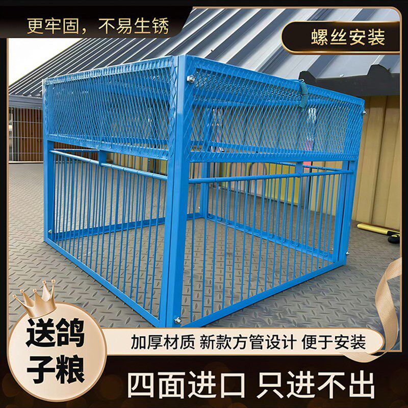 新款加密鸽子天落笼全自动祇进不出收鸽笼鸽子笼撞门笼鸽子回收器