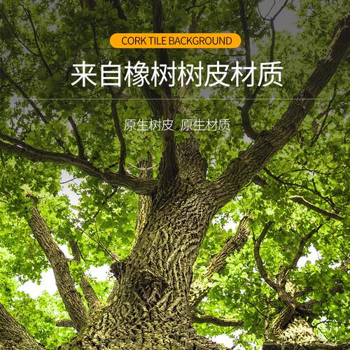 新派宠物 WACOOL玩酷爬虫爬宠饲养箱雨林缸造景背景板天然橡树皮