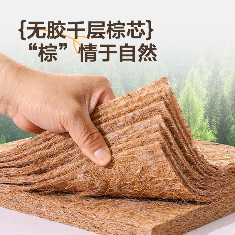 3e环保椰棕床垫家用卧室软乳胶天然加硬护腰脊10厘米定制任意尺寸
