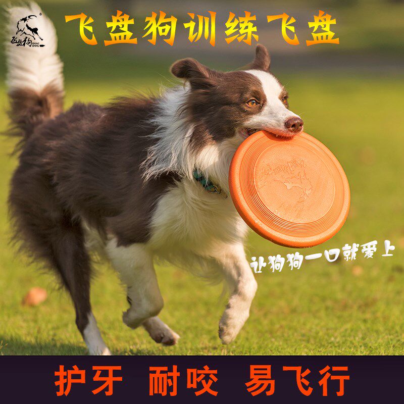 狗飞盘不伤嘴边牧金毛马犬泰迪宠物训犬专用玩具耐咬软飞碟包邮