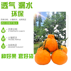 春见耙耙柑柑橘套袋专用袋防鸟防虫袋脐橙红美人果袋防水防雨纸袋