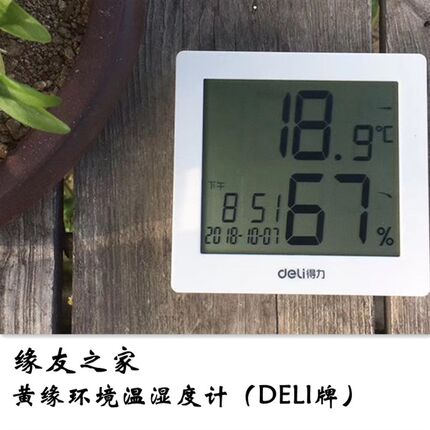 缘友之家 黄缘龟养殖环境温湿度计 安缘台缘饲养箱 爬宠箱温度计