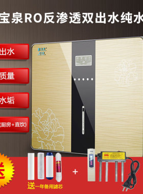 智能双水净水器家用直饮厨房除垢除味ro反渗透纯水机高配自吸包邮