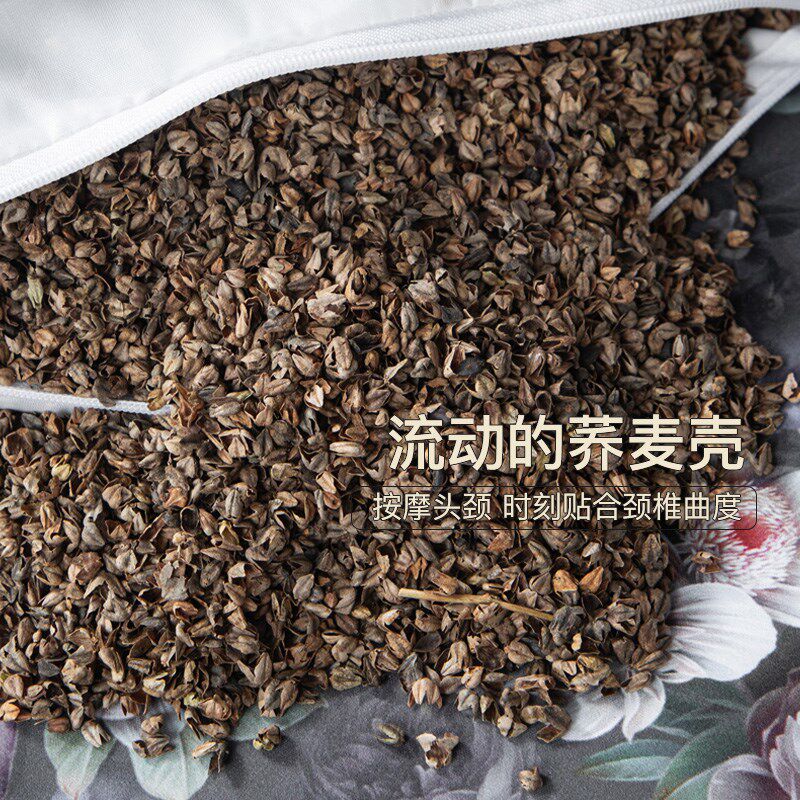 如奕家用单人荞麦壳枕头护颈助眠苦荞枕芯宫廷风沙发侧睡枕一对儿