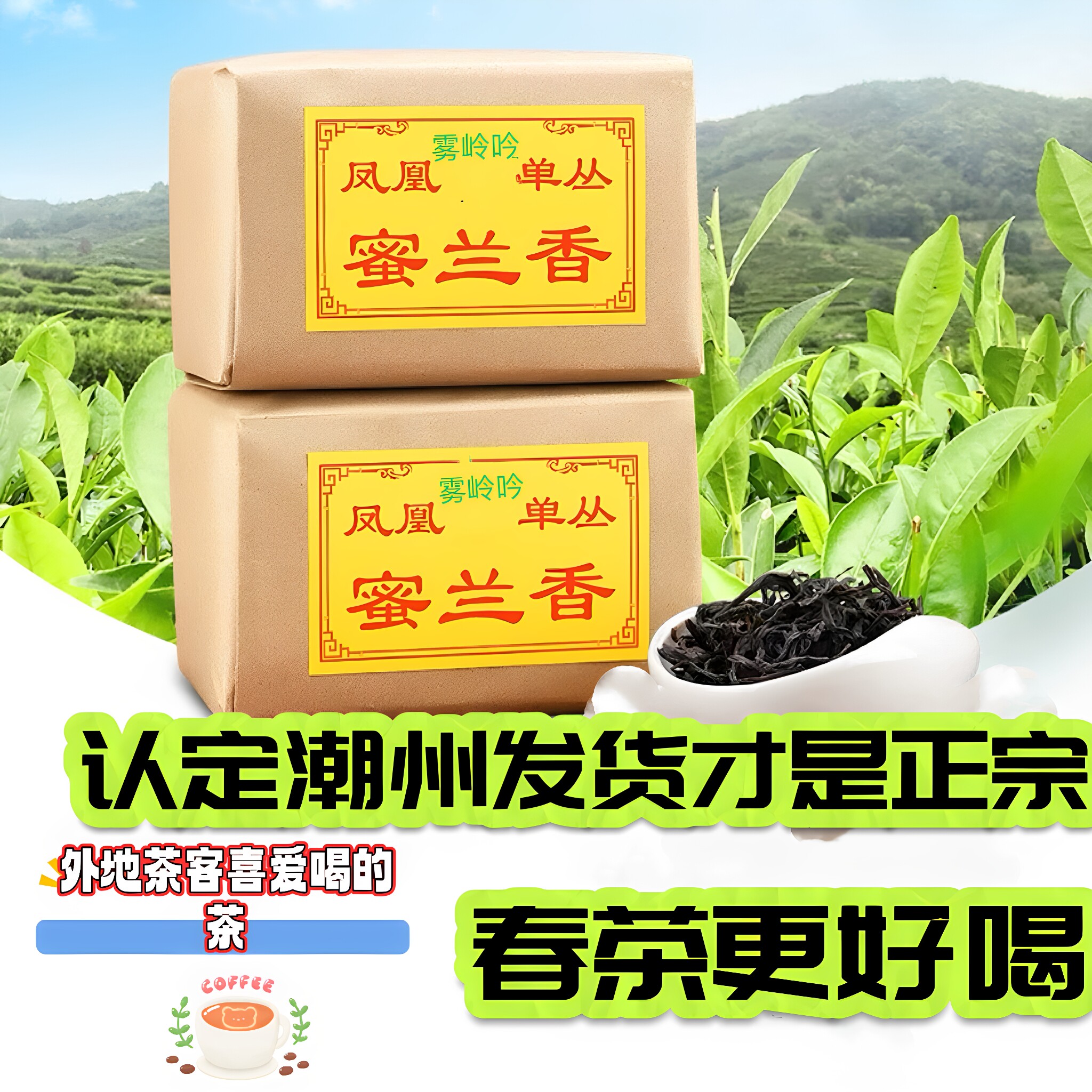 春茶凤凰单丛鸭屎香潮州特产