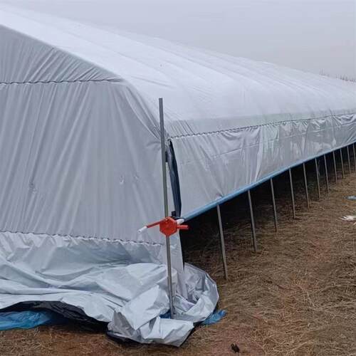 养殖专用大棚全套大棚钢管骨架支架蔬菜种植温室养鸡猪牛羊架子棚