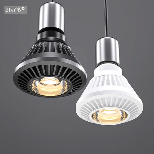 餐饮店餐厅饭店全光谱LED灯泡射灯光源Par 20 30 38聚光型24W 12W