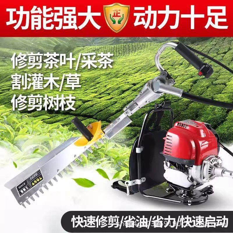 背负式四冲程绿篱机修剪机剪刀修枝剪采茶叶绿化花草园林工具神器