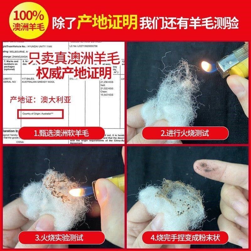 羊毛床垫软垫子家用垫被褥子冬天加厚保暖铺底冬季羊羔绒毯子