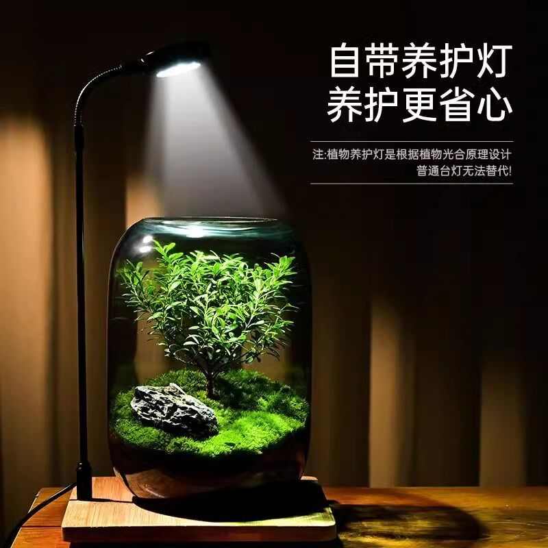 苔藓微景观生态瓶玻璃造景植物盆景办公室桌面diy盆栽装饰小摆件