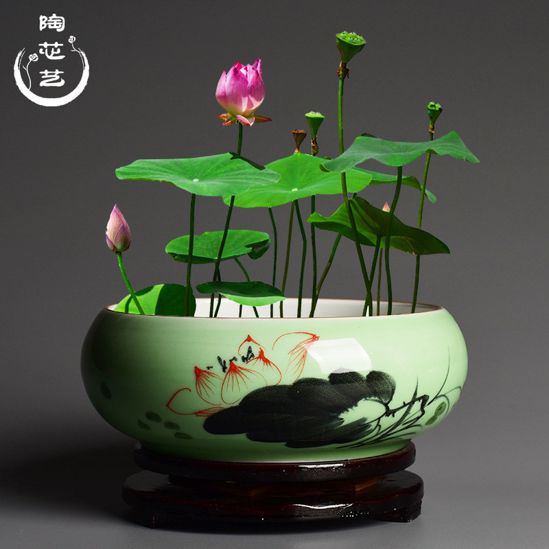 水仙花盆陶瓷创意铜钱草水培家用个性大号水养睡莲圆形花盘中国风图片
